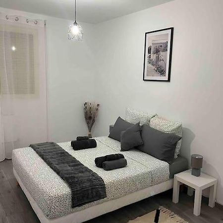Appartement Renove - Vandoeuvre Les Nancy エクステリア 写真