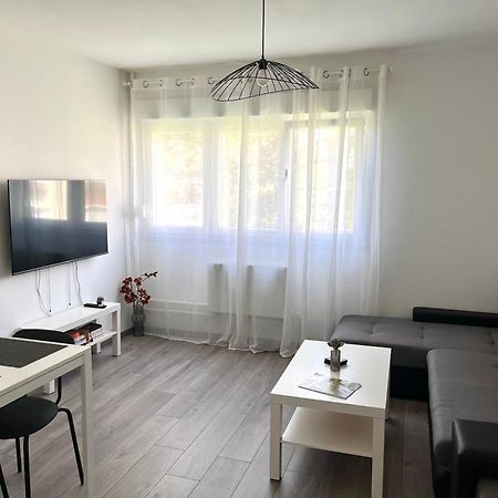 Appartement Renove - Vandoeuvre Les Nancy エクステリア 写真