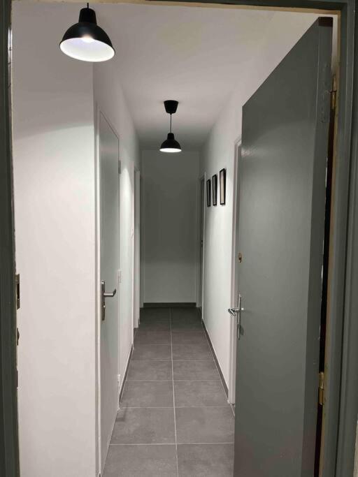Appartement Renove - Vandoeuvre Les Nancy エクステリア 写真
