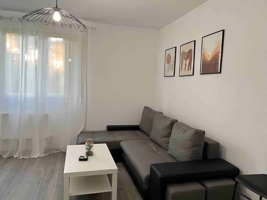 Appartement Renove - Vandoeuvre Les Nancy エクステリア 写真