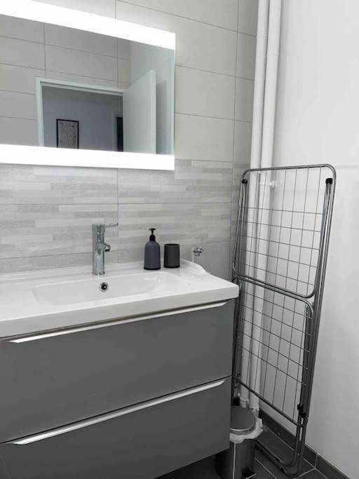 Appartement Renove - Vandoeuvre Les Nancy エクステリア 写真