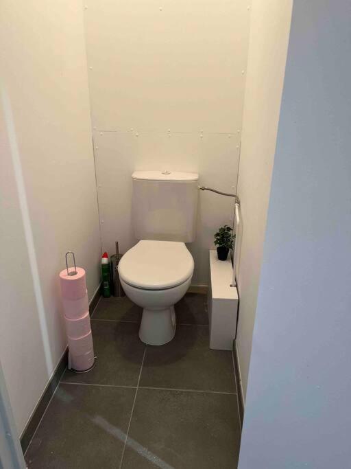 Appartement Renove - Vandoeuvre Les Nancy エクステリア 写真