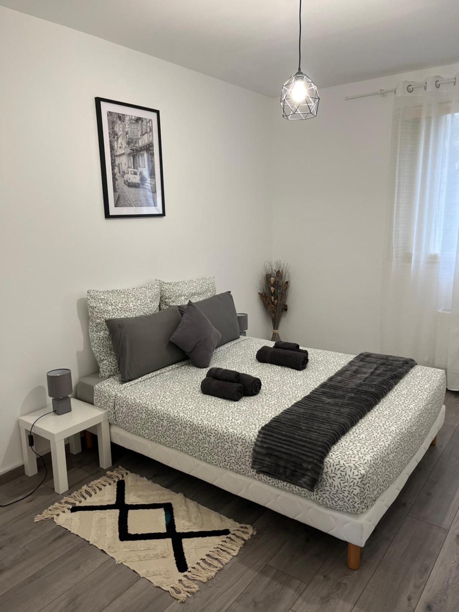 Appartement Renove - Vandoeuvre Les Nancy エクステリア 写真