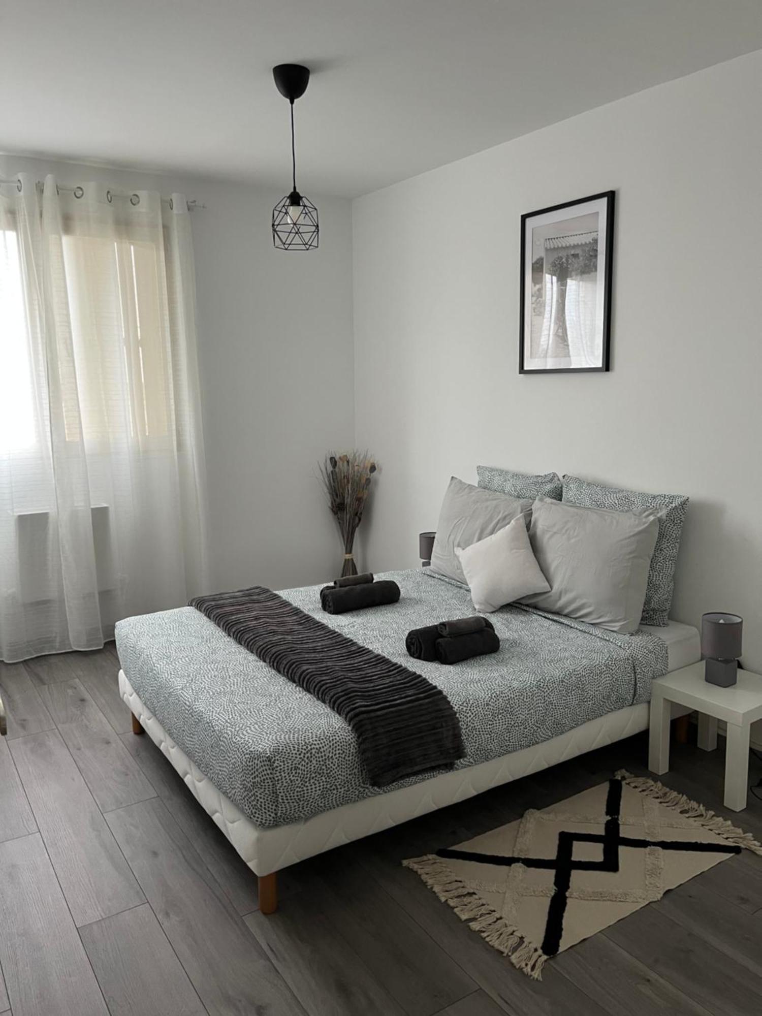 Appartement Renove - Vandoeuvre Les Nancy エクステリア 写真