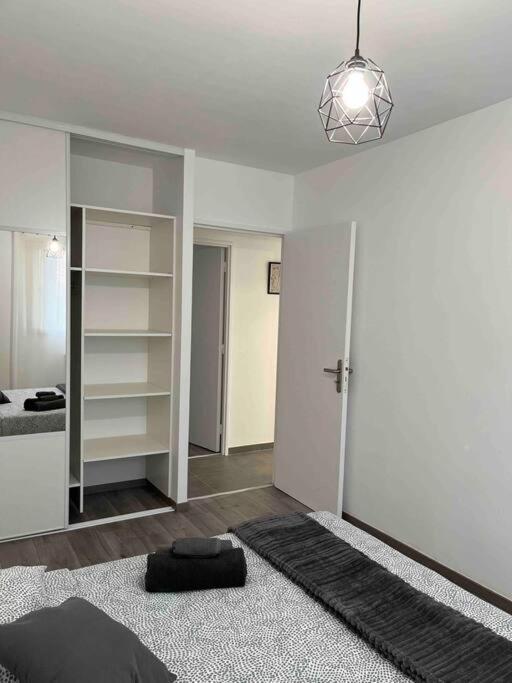 Appartement Renove - Vandoeuvre Les Nancy エクステリア 写真