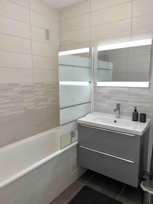 Appartement Renove - Vandoeuvre Les Nancy エクステリア 写真
