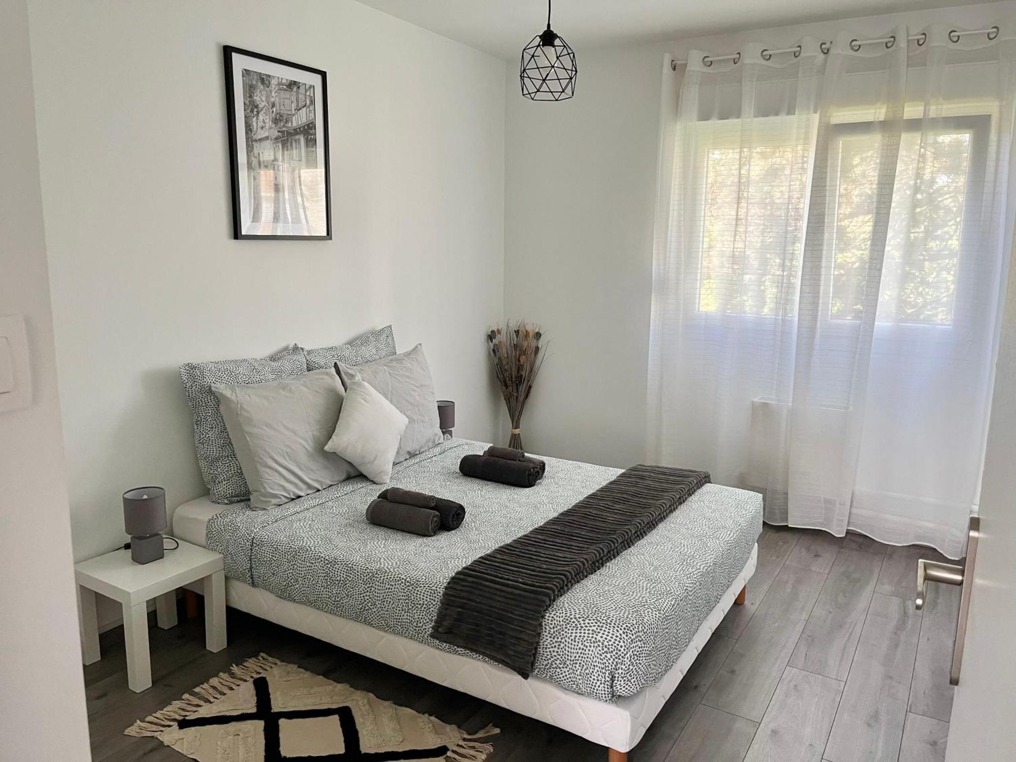 Appartement Renove - Vandoeuvre Les Nancy エクステリア 写真
